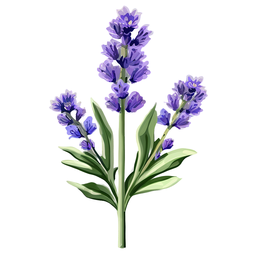 Lavender Sprig Png Lck PNG