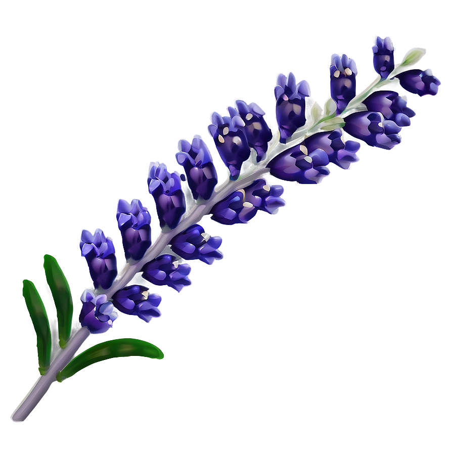 Lavender Sprig Png Mcp PNG