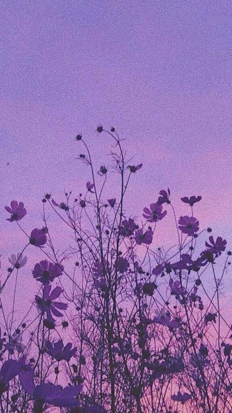 Lavender Twilight Floral Silhouette Wallpaper