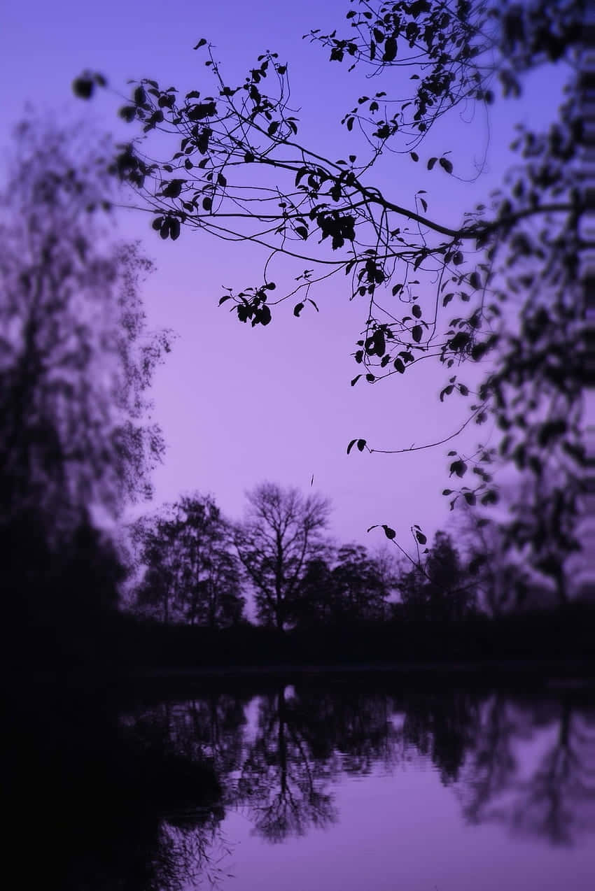 Lavender Twilight Silhouette Lake Wallpaper