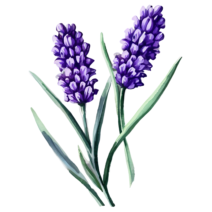 Lavender Watercolor Flower Png Gem91 PNG