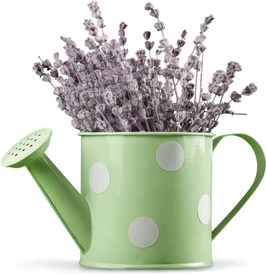Lavenderin Green Watering Can PNG
