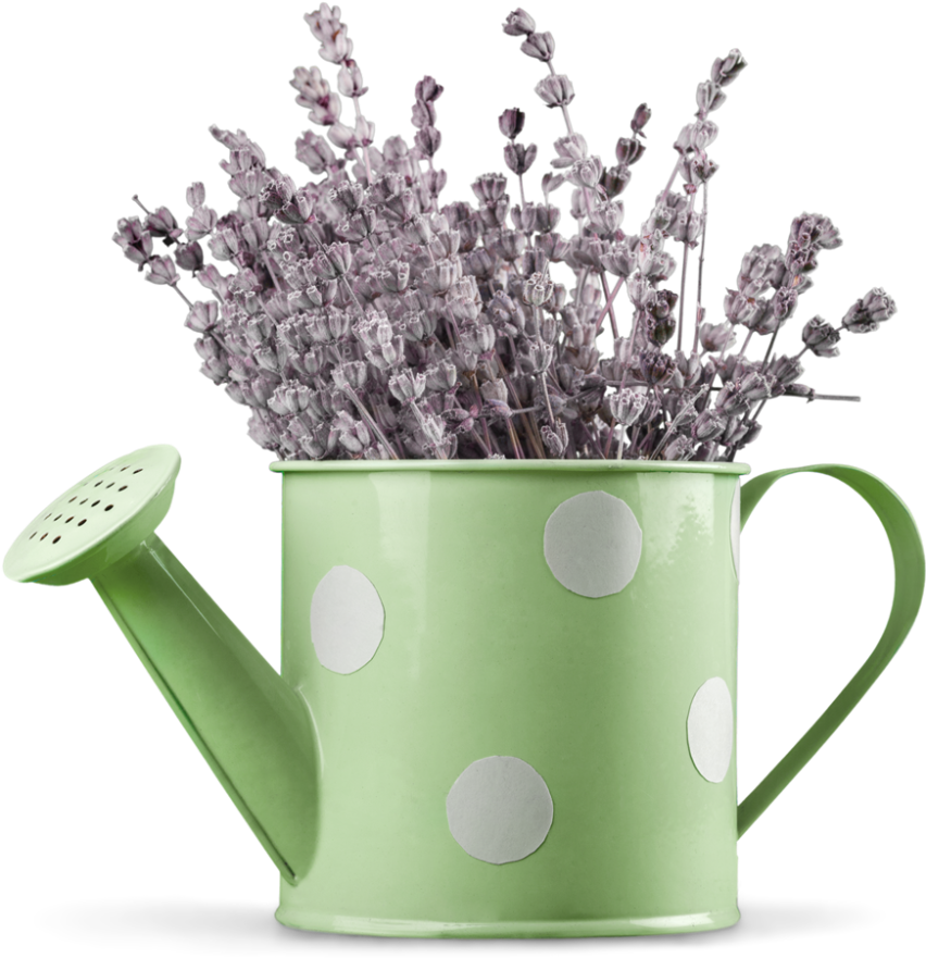 Download Lavenderin Green Watering Can | Wallpapers.com