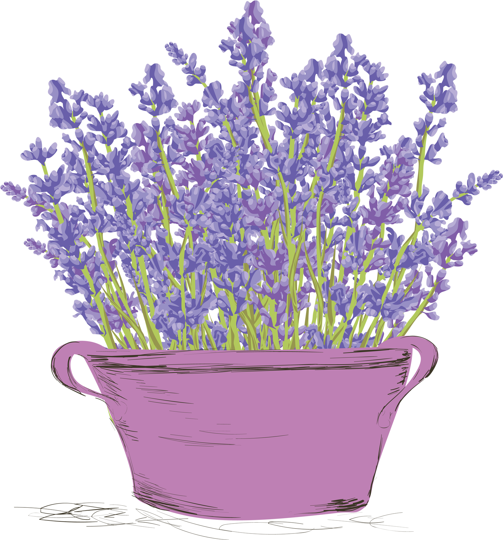 Download Lavenderin Pink Basin | Wallpapers.com