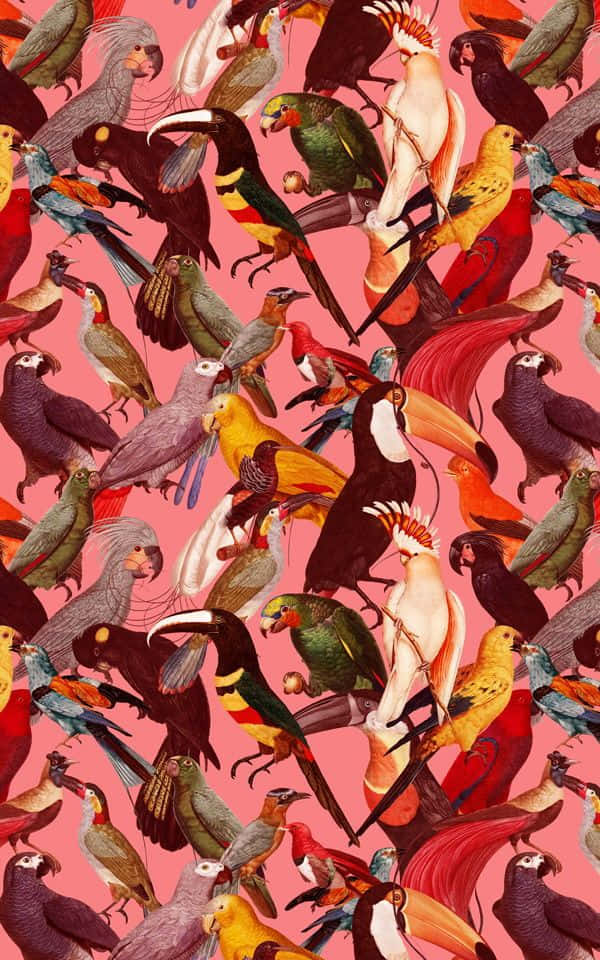 Lavish Bird Pattern Wallpaper