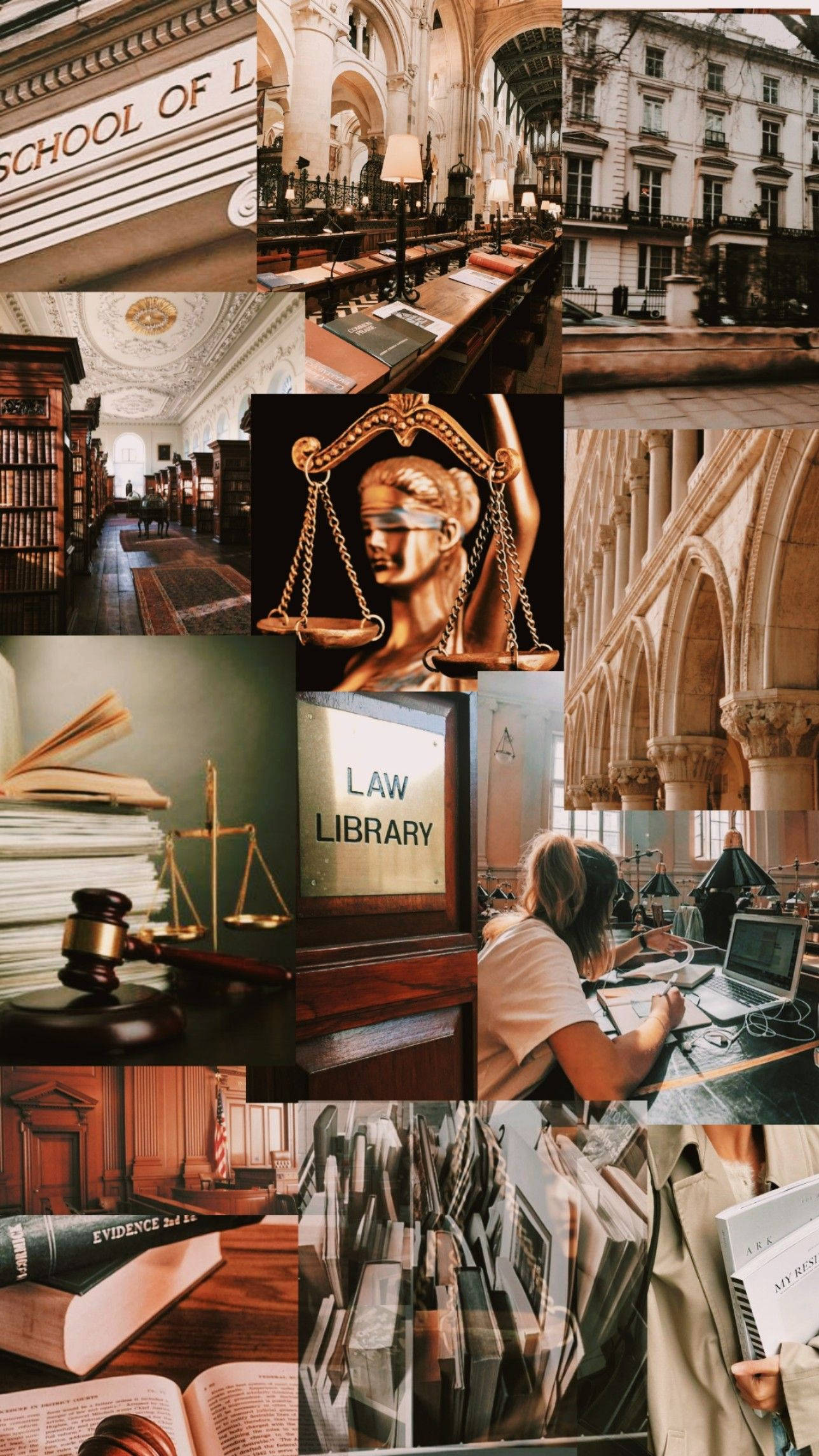 Determined Lawyer Studying Law Books Wallpaper