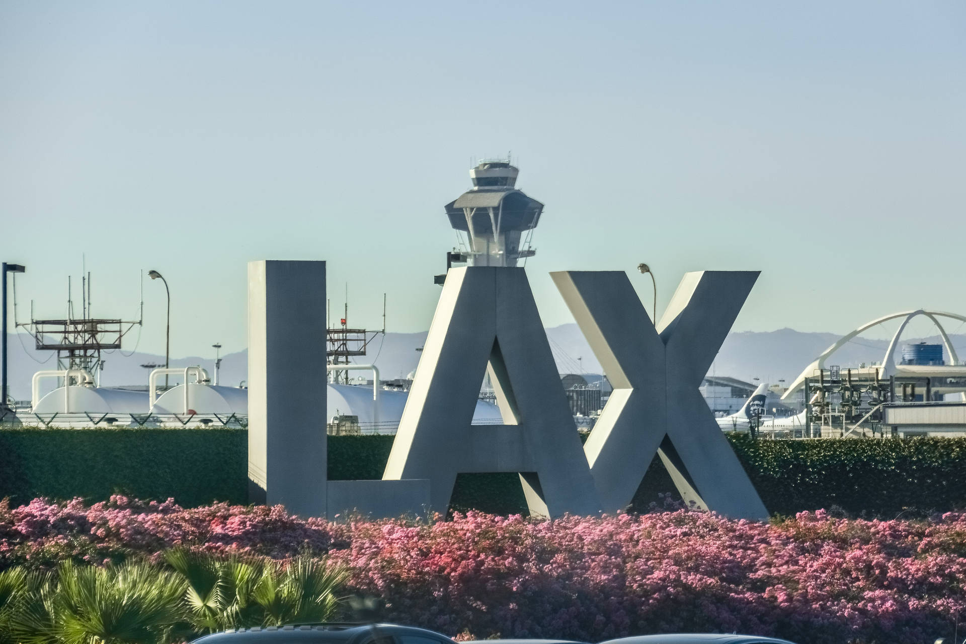 View of LAX departures walkway with pink flowers Wallpaper