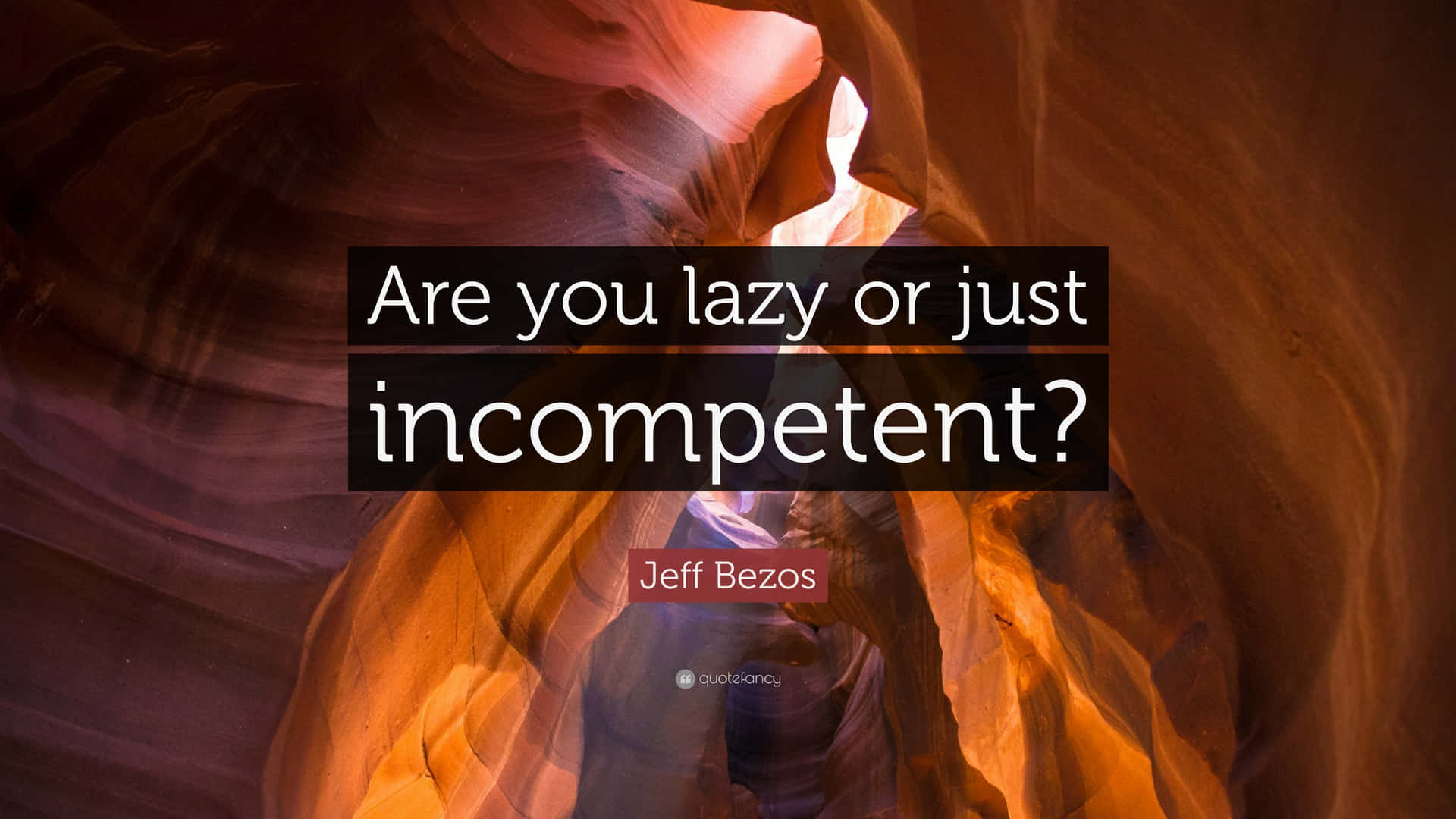 Lazy Or Just Incompetent Wallpaper