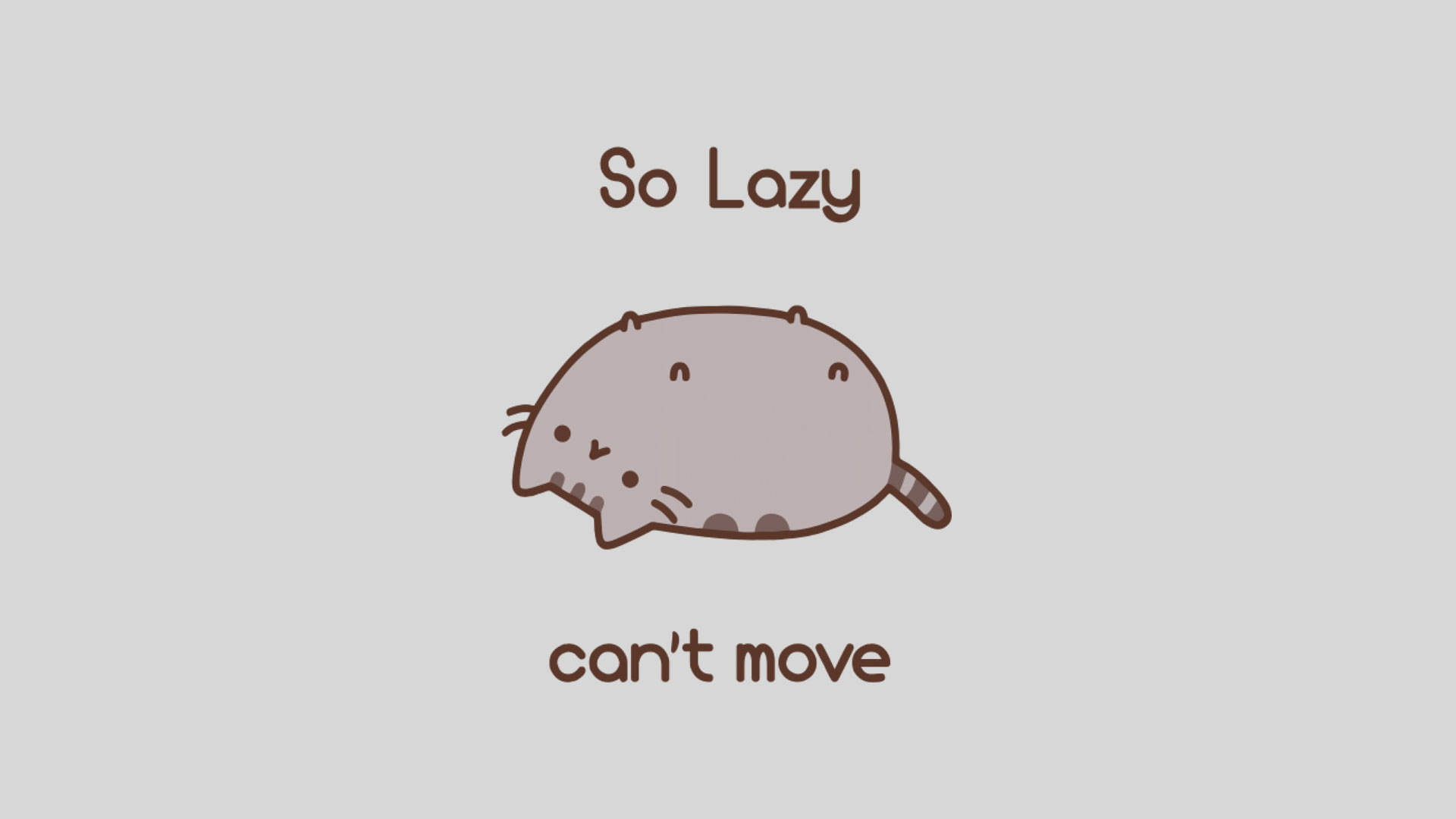 Lazy Pusheen cat meme wallpaper