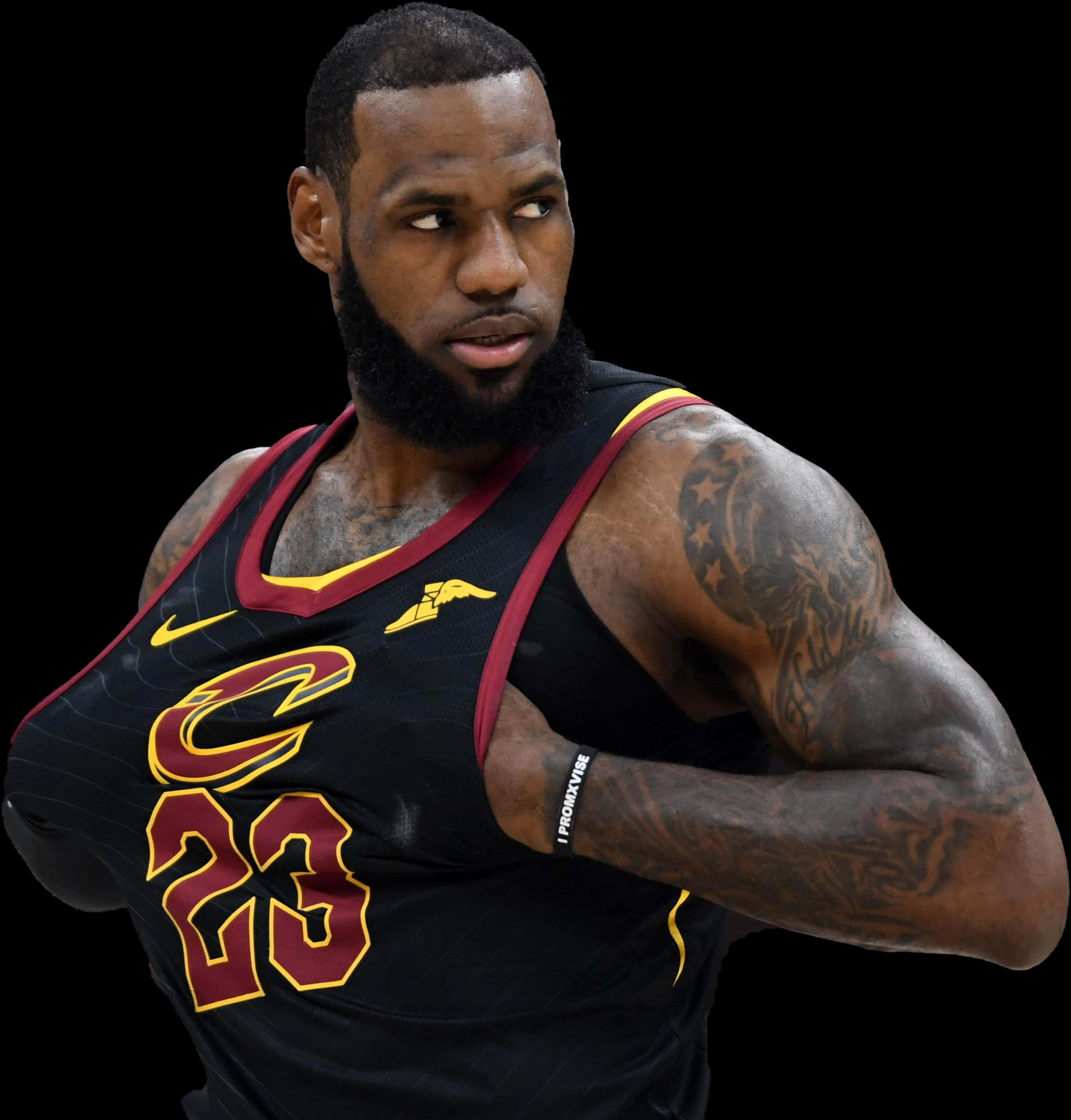 Download Le Bron James Cleveland Cavaliers Portrait | Wallpapers.com