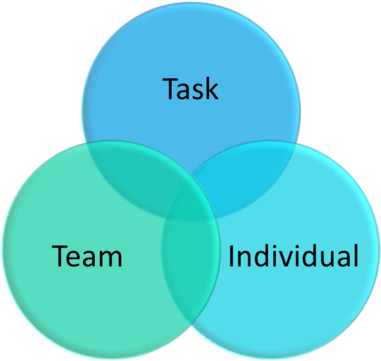 Leadership Team Task Individual Venn Diagram PNG
