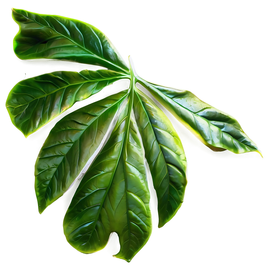 Leaf Background Png 67 PNG