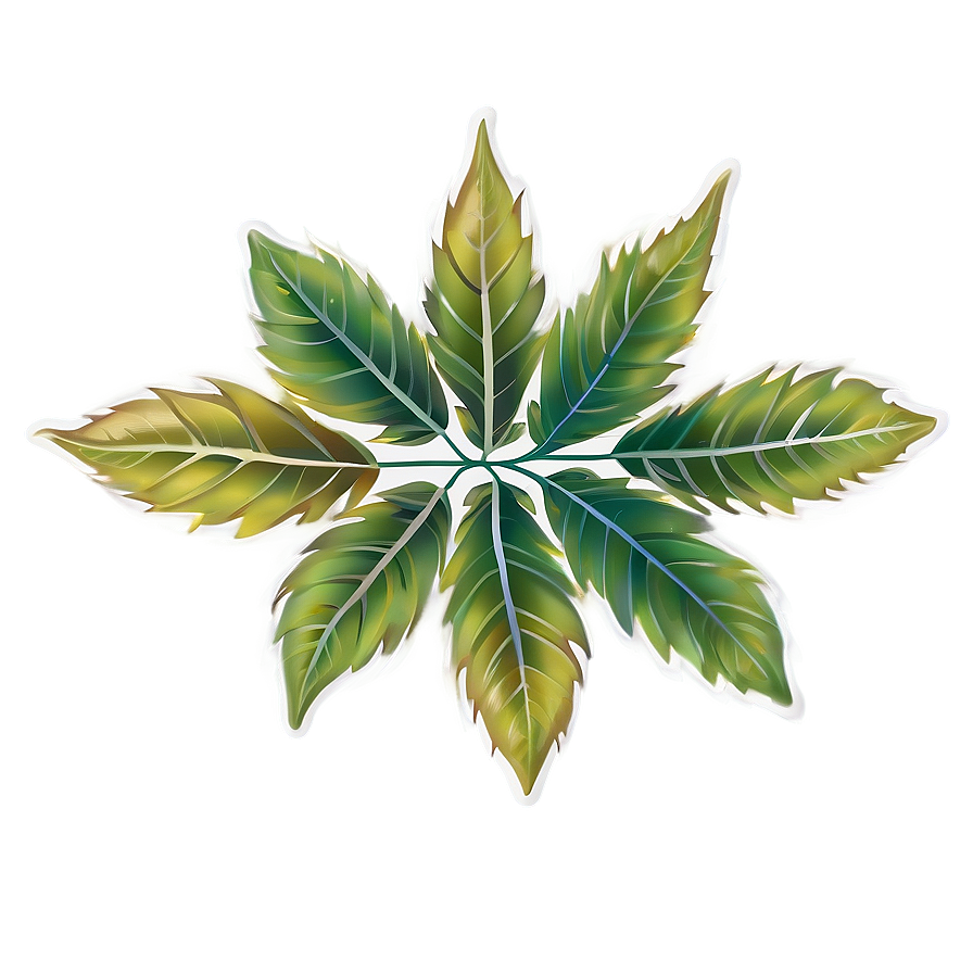 Leaf Border Png Bua PNG