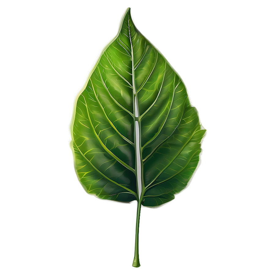 Leaf Branch Png Ock PNG