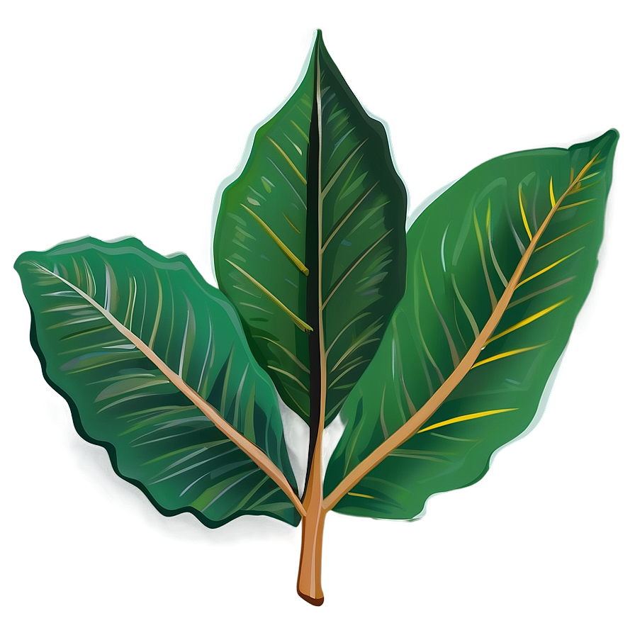 Leaf Cartoon Png Fge4 PNG