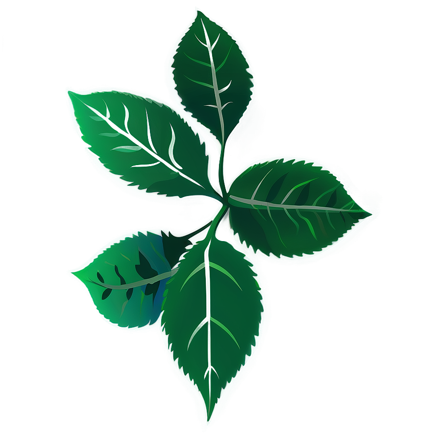 Leaf Design Png Jlw27 PNG