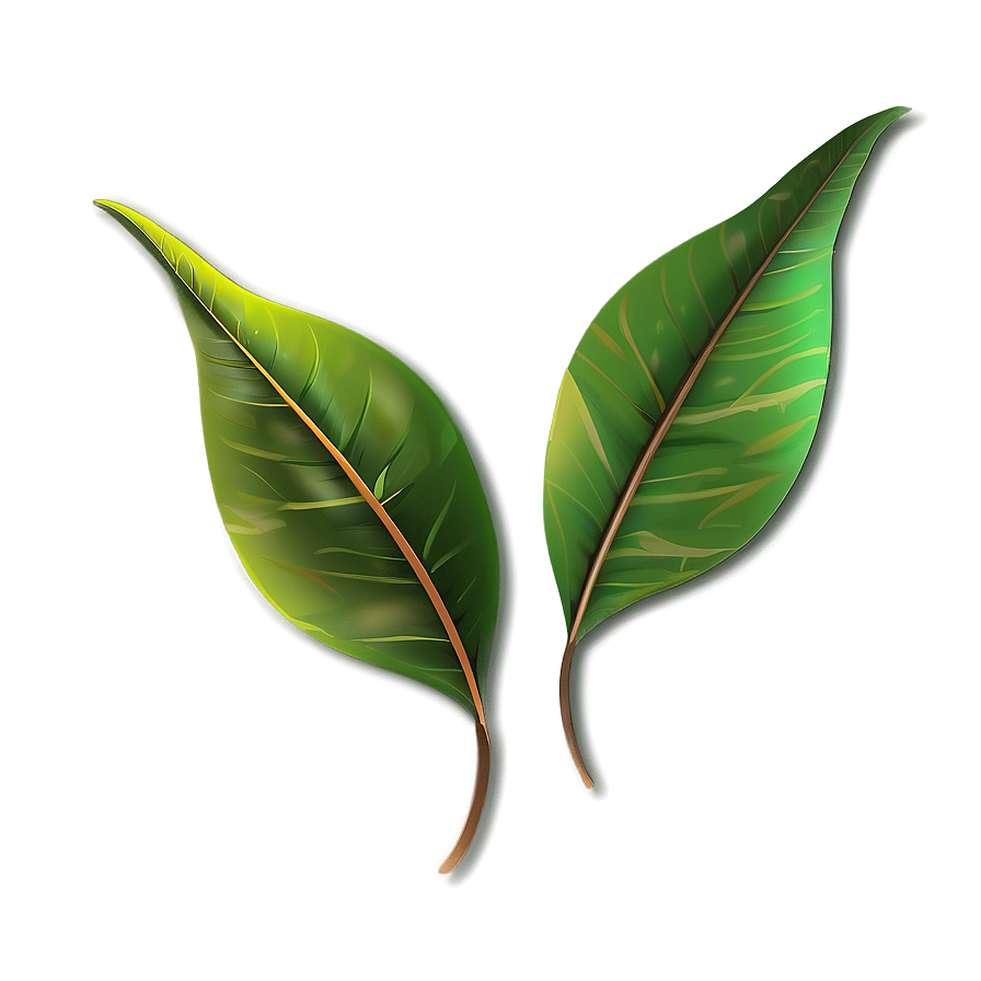 Leaf Design Png Ljn PNG