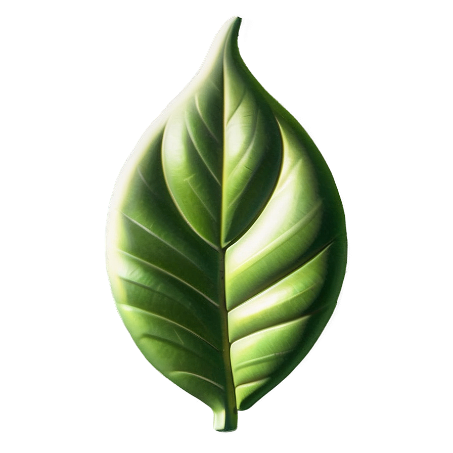 Leaf Emoji Png Uao PNG