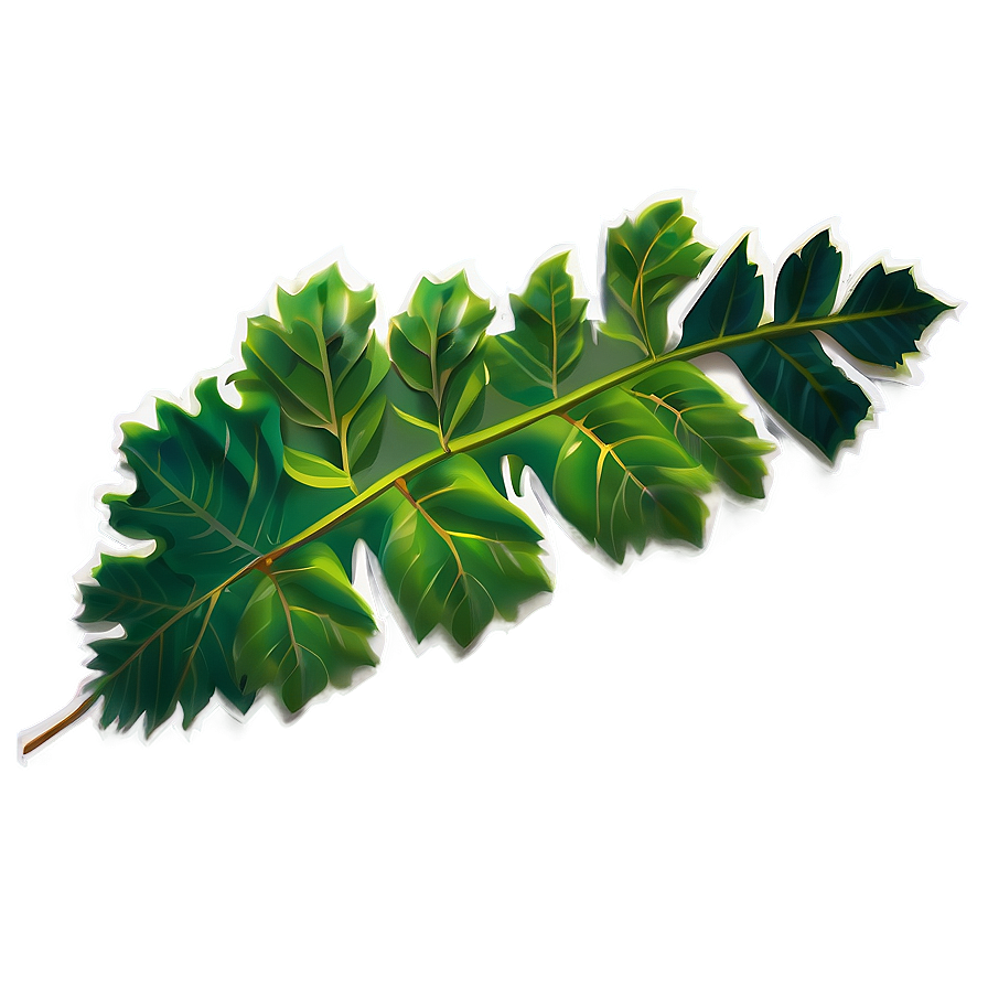 Leaf Illustration Png Dui33 PNG