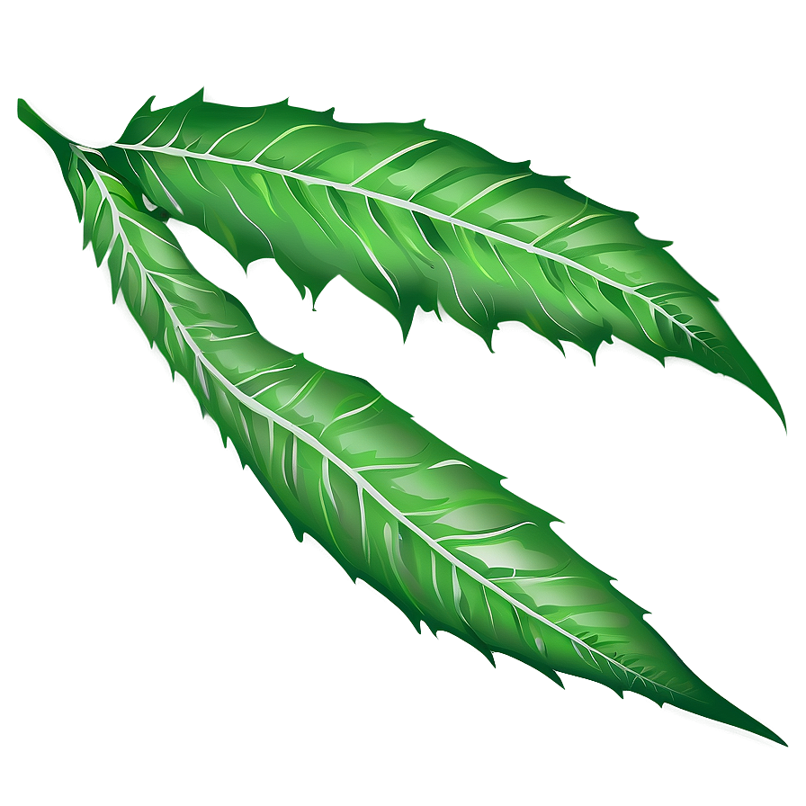 Leaf Illustration Png Haq PNG