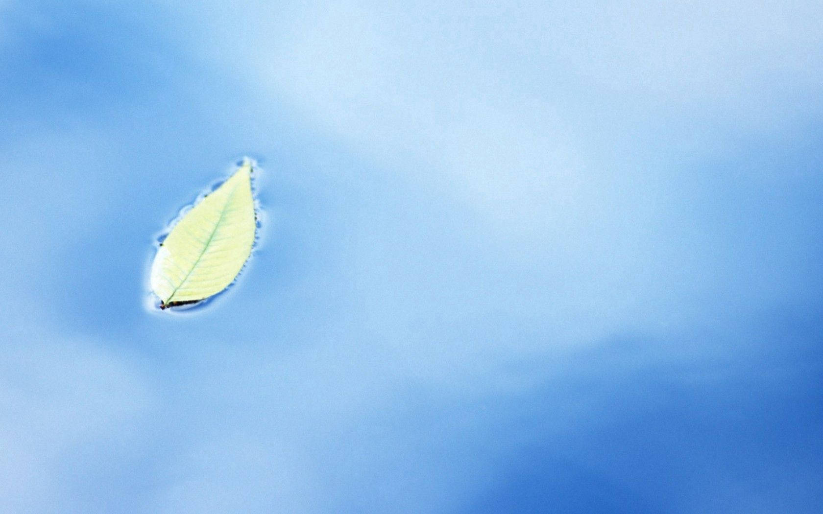 A Leaf Floating Beautiful in Blue Water Wallpaper
