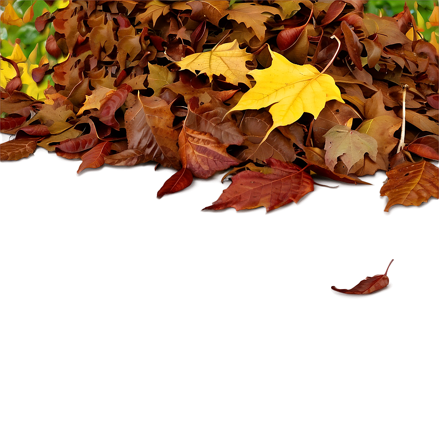 Leaf Pile In Park Png 78 PNG