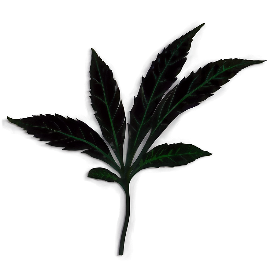 Leaf Silhouette Black Png 81 PNG
