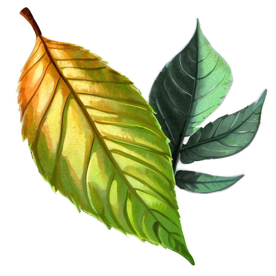 Leaf Sketch Png Xeo63 PNG