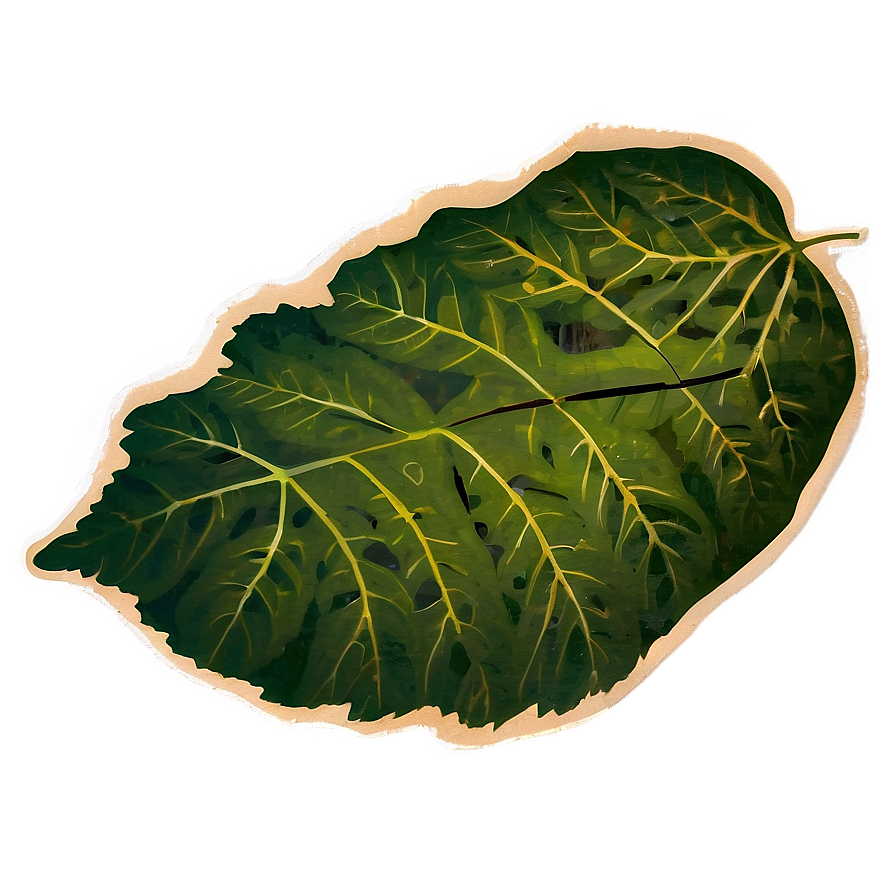 Leaf Stamp Png 05032024 PNG