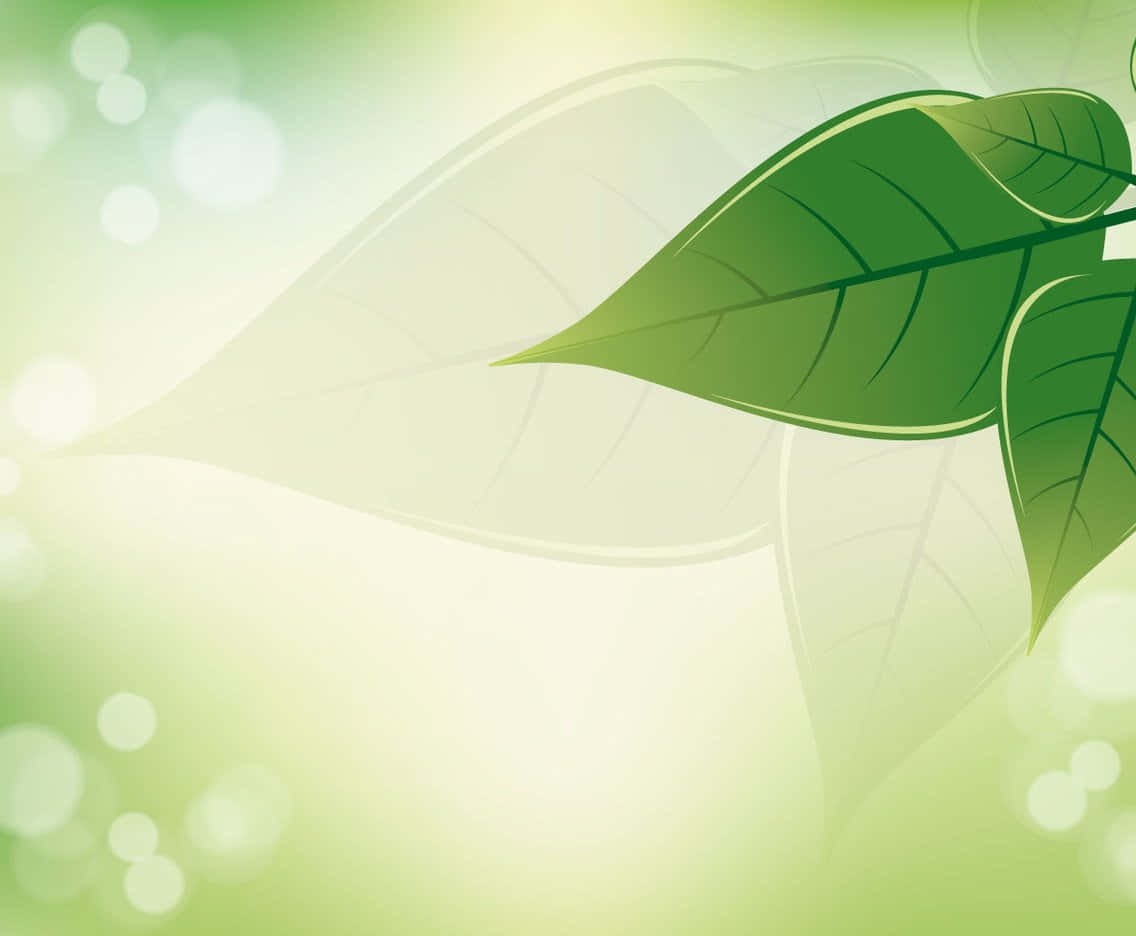 Stay in touch with nature with this leafy background.