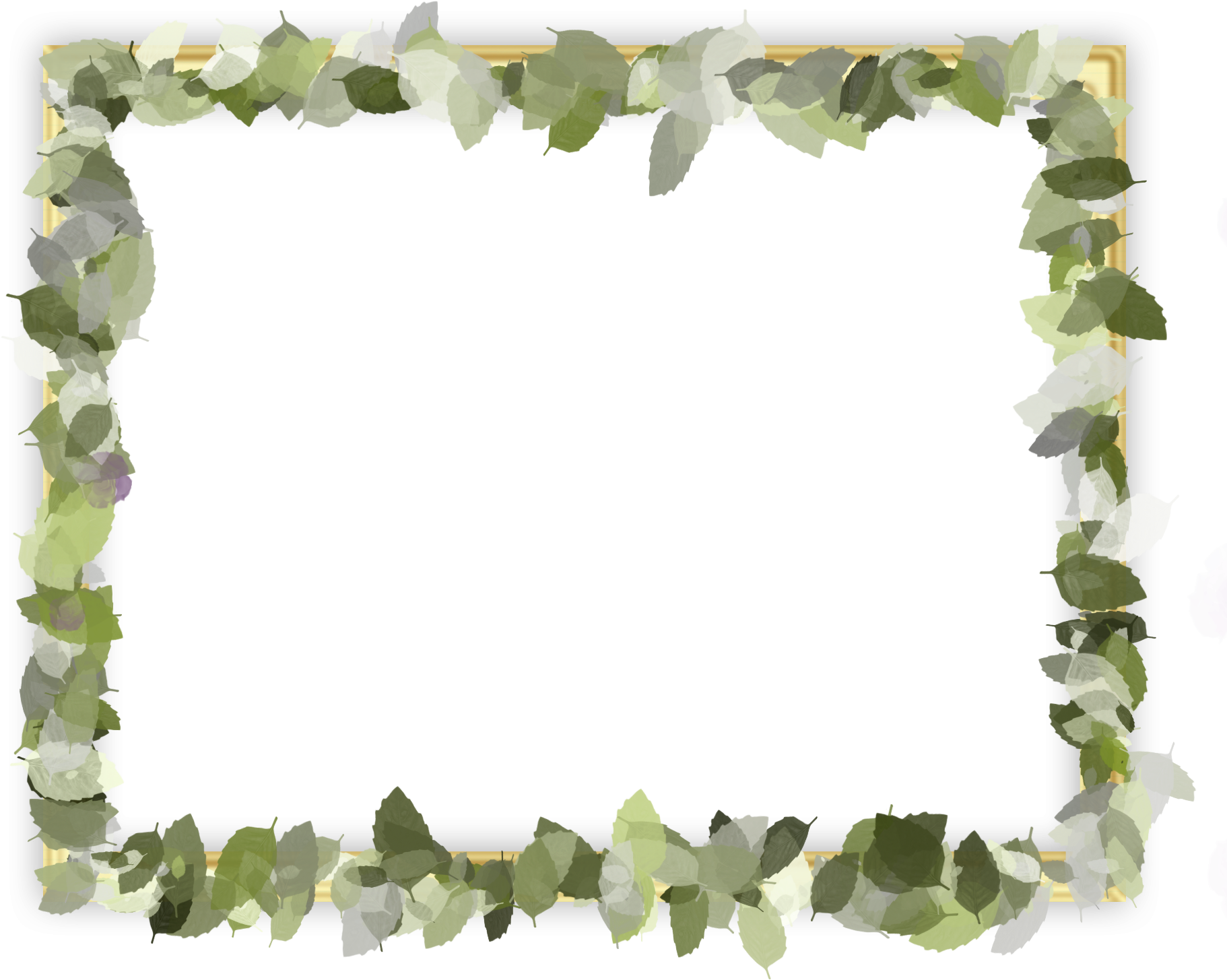 Leafy Frame Border Design PNG