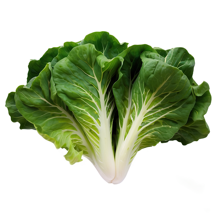 Download Leafy Green Lettuce Png Sgm | Wallpapers.com