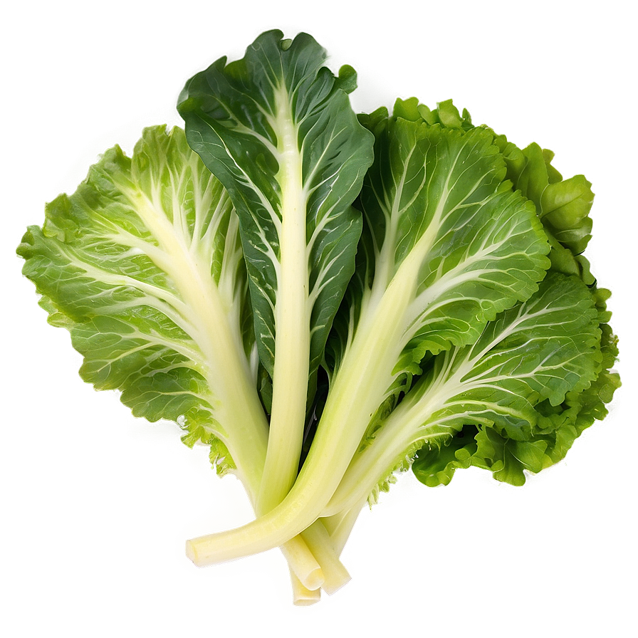 Download Leafy Greens Vegetables Png Uvt | Wallpapers.com