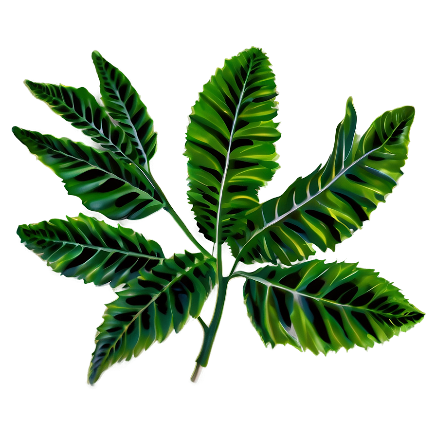 Download Leafy Plant Png Wtl8 | Wallpapers.com