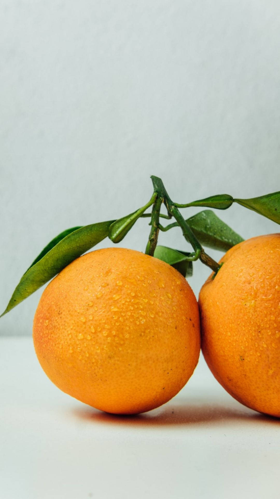 Leaning Orange Fruits