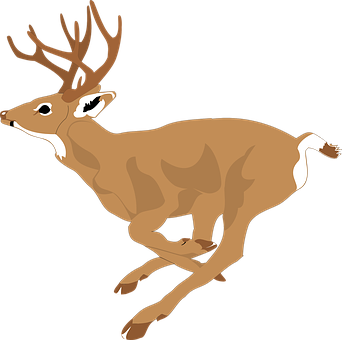 Leaping Deer Vector Illustration PNG