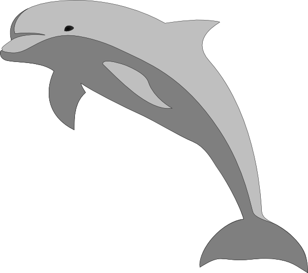 Leaping Dolphin Cartoon PNG