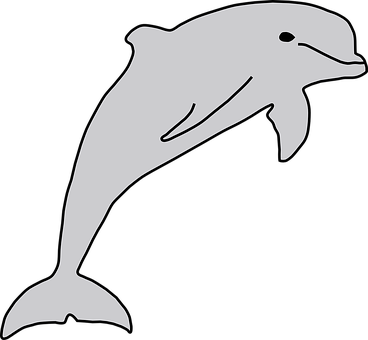 Leaping Dolphin Silhouette PNG