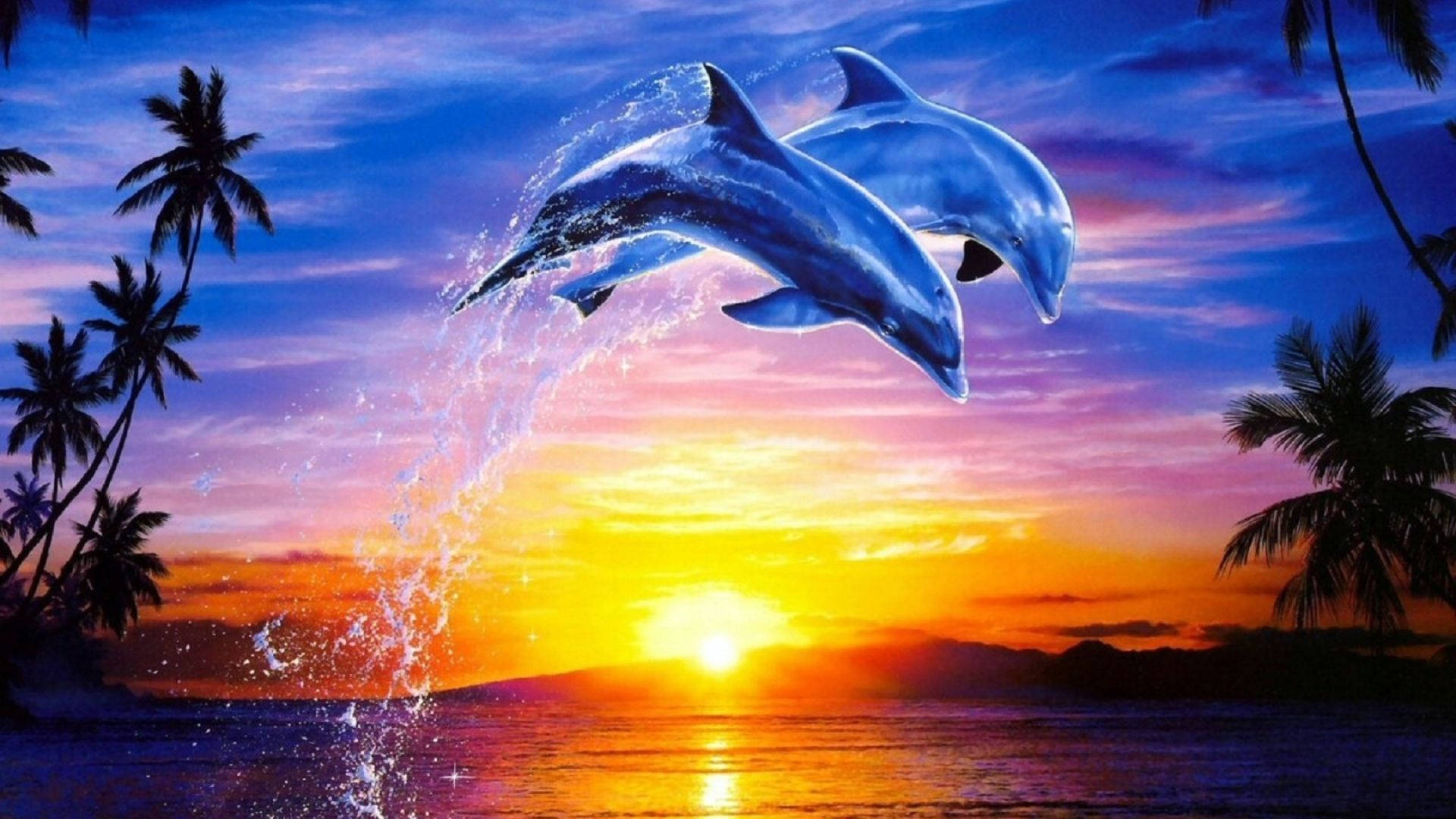 Leaping Dolphins At Sunset Wallpaper