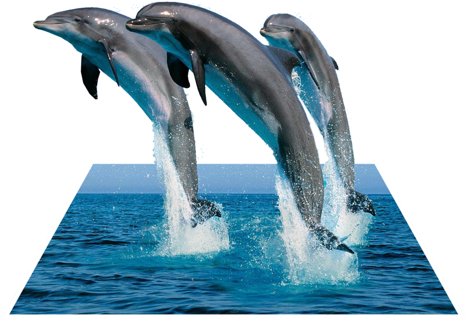 Download Leaping Dolphins3 D Effect 