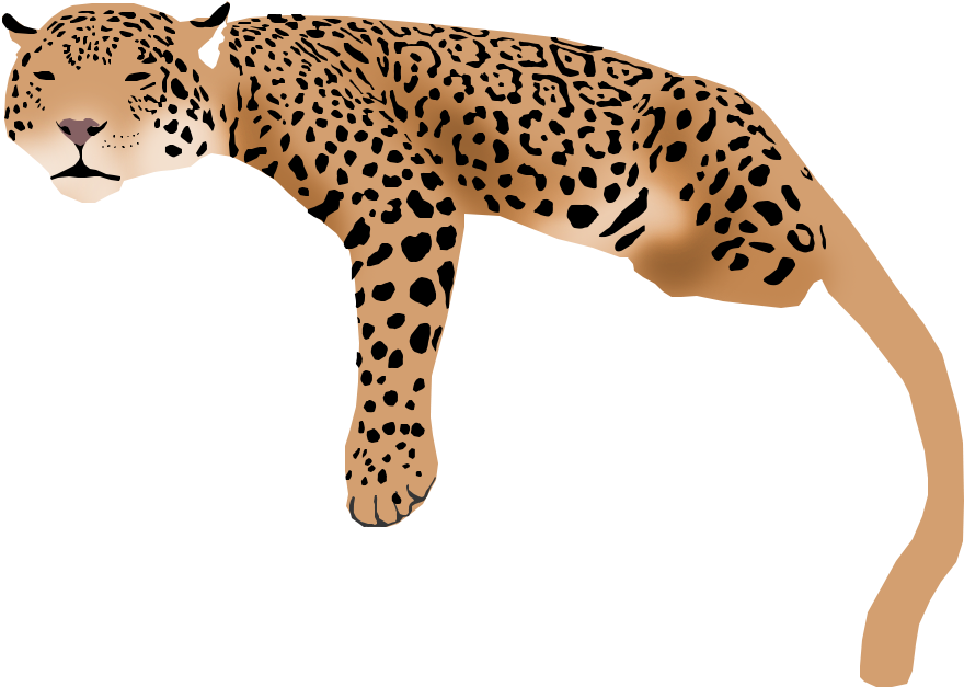 Leaping Jaguar Illustration PNG