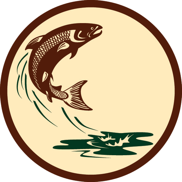 Leaping Salmon Graphic PNG