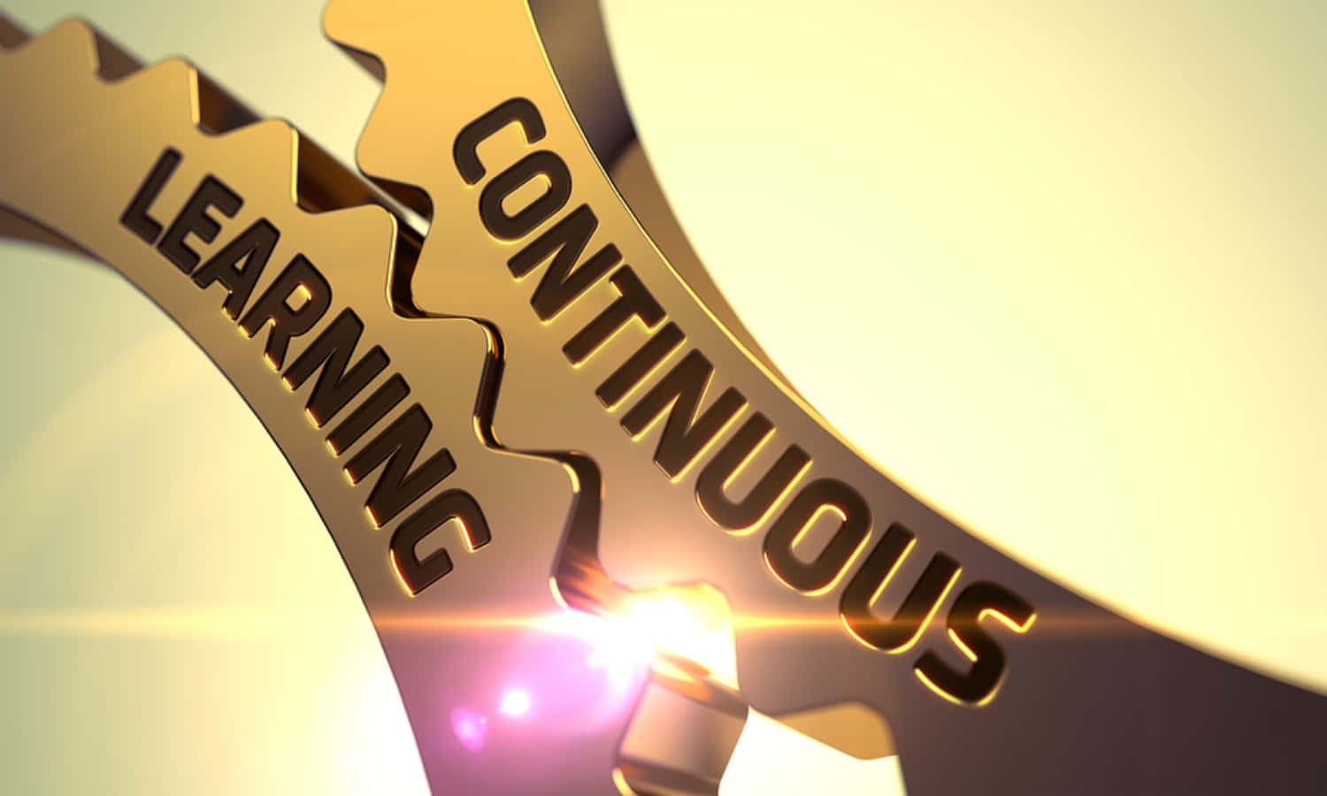 Continuous Learning And Continuous Improvement