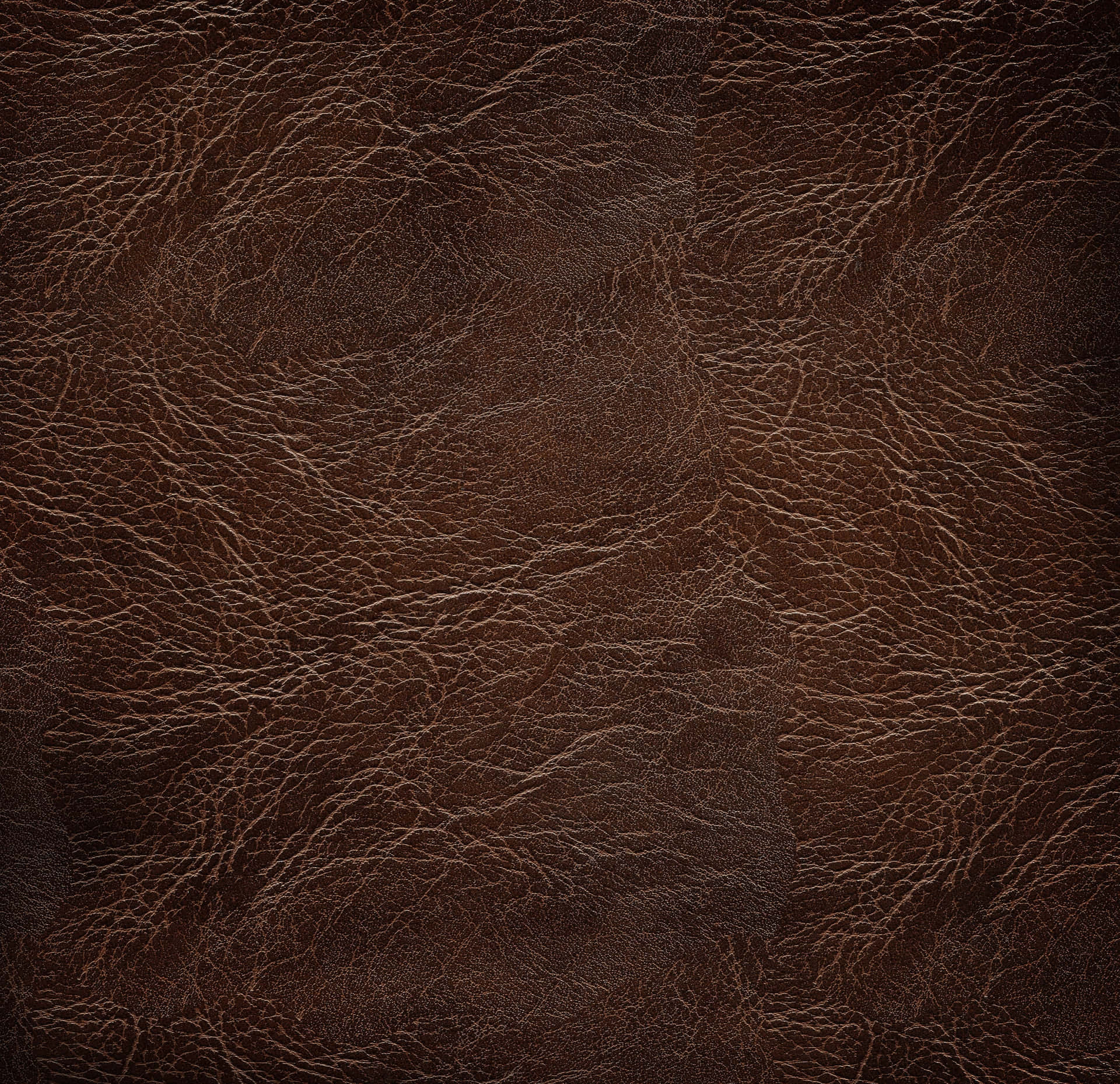 Image  A Highly Textured Leather Background