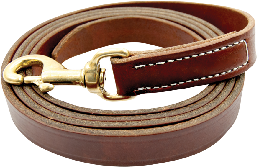 Leather Beltwith Gold Tone Hook Buckle PNG