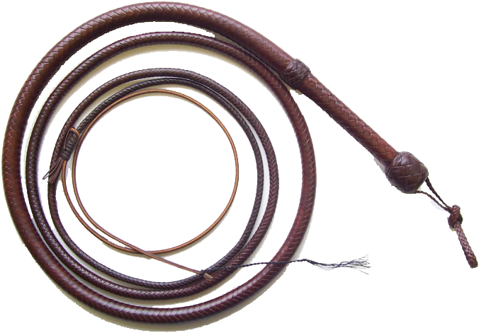 Download Leather Bullwhip Coiled | Wallpapers.com