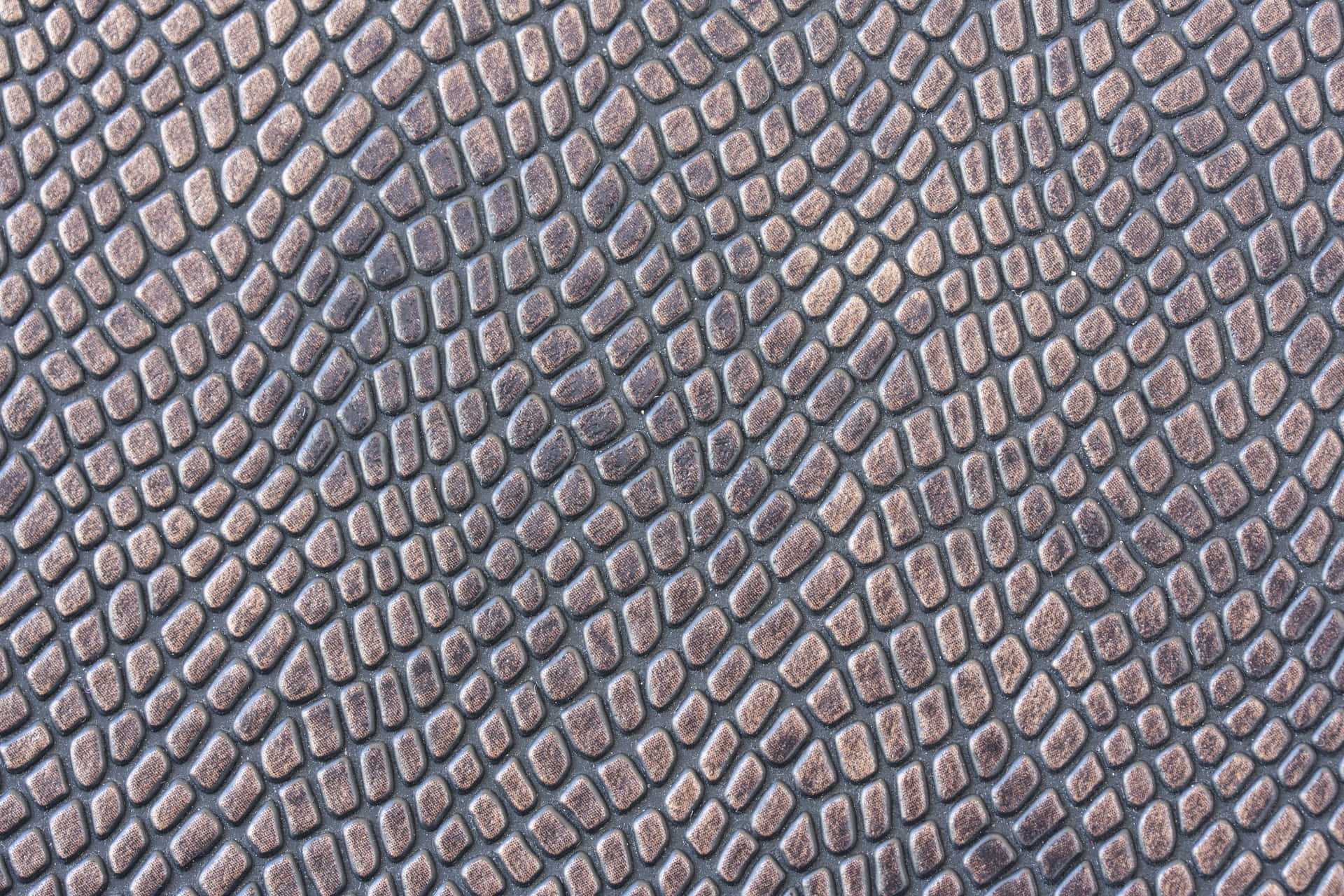 Lädertextur Krokodilskinn. Wallpaper