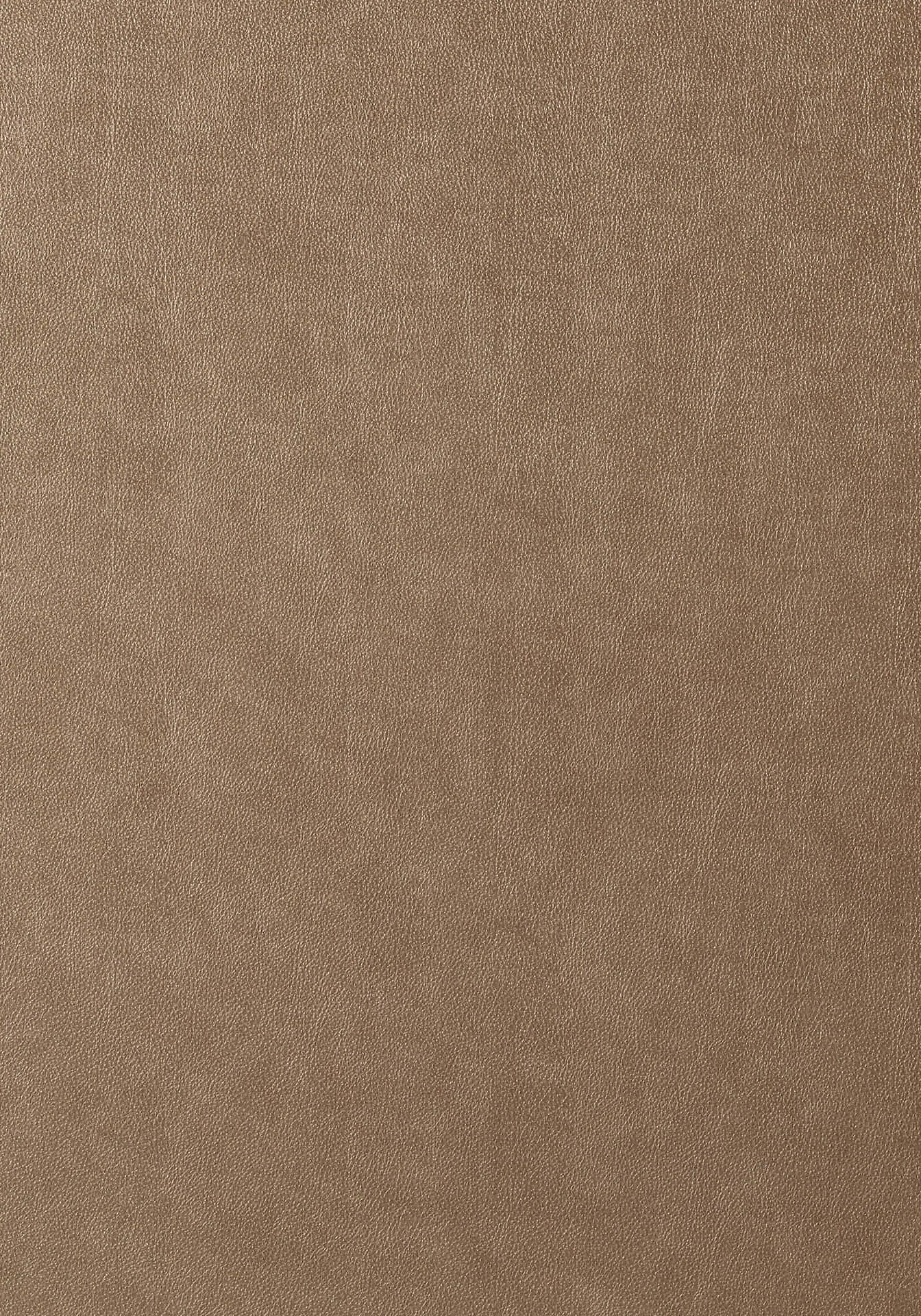 Brown Leather Texture Portrait Picture