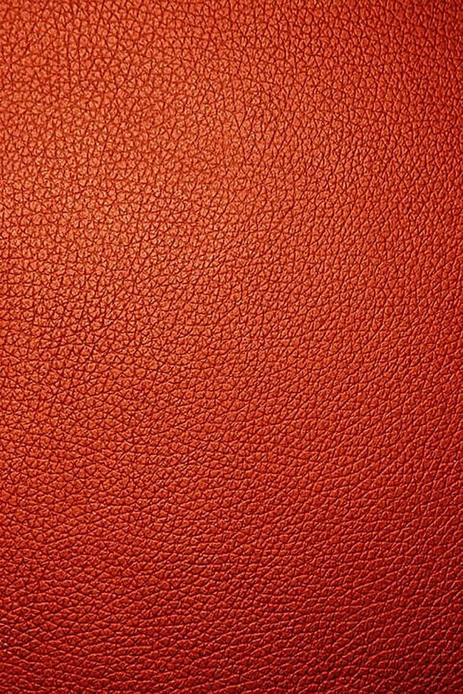 Red Leather Texture Portrait Picture