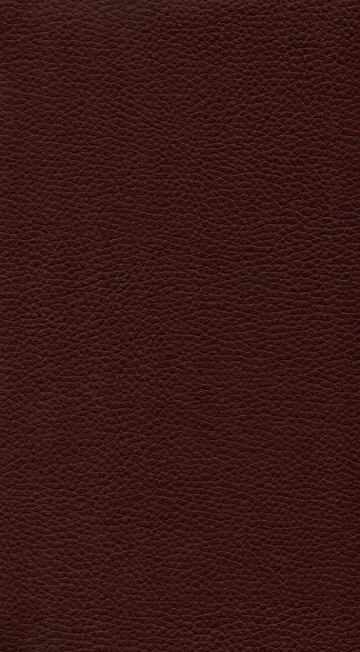 High-Quality Leather Texture Picture